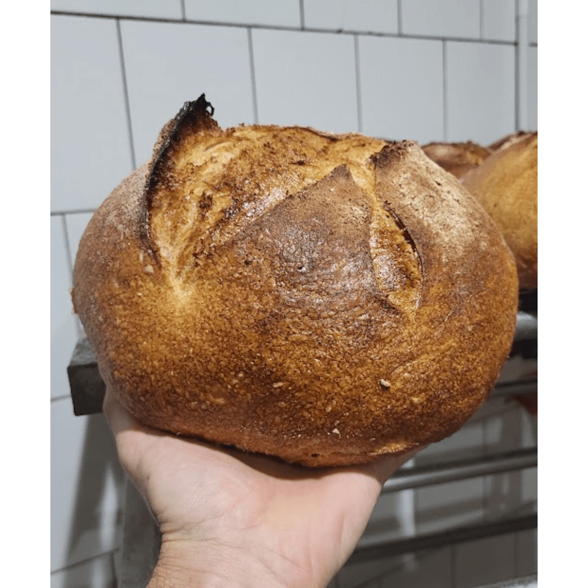 Chleb WIEJSKI pszenny na zakwasie